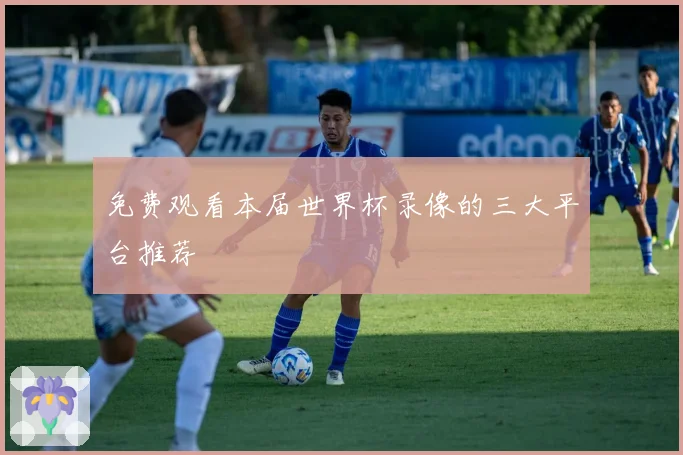 免费观看本届世界杯录像的三大平台推荐